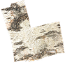  Birch