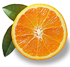 Citrus