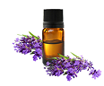 Lavandin Oil