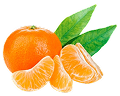 Mandarin 